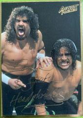 Head Shrinkers Wrestling Cards 1994 Action Packed WWF Prices