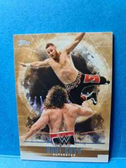 Sami Zayn Wrestling Cards 2017 Topps WWE Undisputed Prices