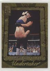 Undertaker #100 Wrestling Cards 2002 Fleer WWF All Access Prices