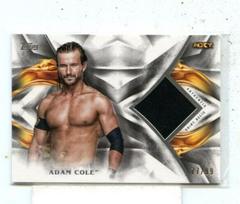 Adam Cole #UR-AC Wrestling Cards 2019 Topps WWE Undisputed Relic Prices
