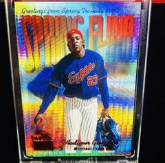 Vladimir Guerrero [Star Rubies] Baseball Cards 1999 Skybox Premium Prices