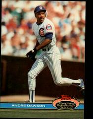 Andre Dawson #310 Baseball Cards 1991 Stadium Club Prices
