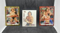Chris Sabin Wrestling Cards 2004 Pacific TNA Prices