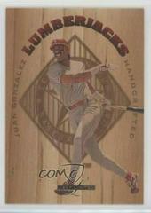 Juan Gonzalez #3 Baseball Cards 1995 Leaf Limited Lumberjacks Prices