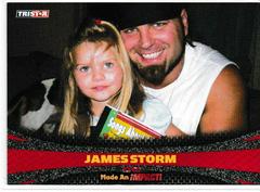 James Storm [Silver] #94 Wrestling Cards 2009 TriStar TNA Impact Prices