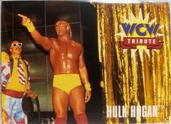 Hulk Hogan Wrestling Cards 1995 Cardz WCW Main Event Prices