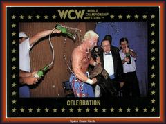 Celebration Wrestling Cards 1991 Championship Marketing WCW Prices