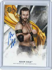 Adam Cole #A-AC Wrestling Cards 2019 Topps WWE Undisputed Autographs Prices