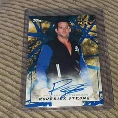 Roderick Strong [Blue] #A-RS Wrestling Cards 2018 Topps WWE NXT Autographs Prices