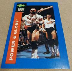 Power & Glory Wrestling Cards 1991 Classic WWF Prices