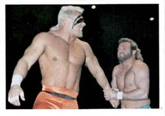 Eddie Gilbert, Sting #41 Wrestling Cards 1988 Wonderama NWA Prices