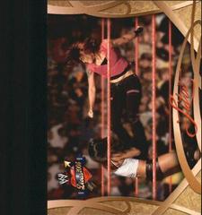 Lita Wrestling Cards 2004 Fleer WWE Divine Divas 2005 Prices