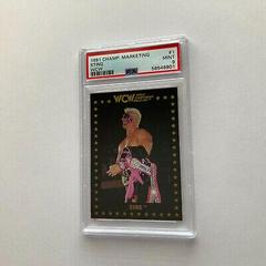 Sting Wrestling Cards 1991 Championship Marketing WCW Prices