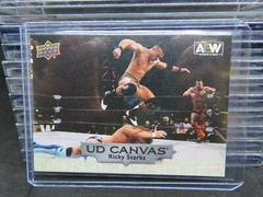 Ricky Starks Wrestling Cards 2022 Upper Deck AEW UD Canvas Prices