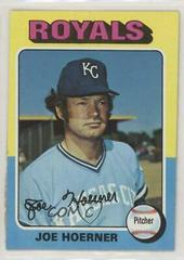 Joe Hoerner #629 Baseball Cards 1975 Topps Prices
