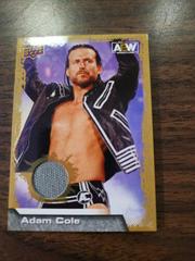 Adam Cole [Mat Relic Gold] #27 Wrestling Cards 2022 Upper Deck AEW Prices