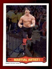 Martial Artist Wrestling Cards 1985 O Pee Chee WWF Series 2 Prices