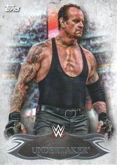 Undertaker Wrestling Cards 2015 Topps WWE Undisputed Prices