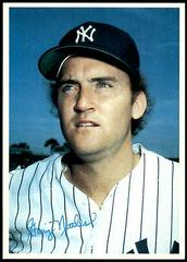 Graig Nettles [Gray Back] #21 Baseball Cards 1980 Topps Superstar 5x7 Photos Prices
