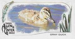 Gray Duck #MD-9 Baseball Cards 2022 Topps Allen & Ginter Mini Ducks Prices