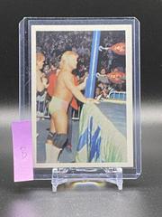 Stan Lane Wrestling Cards 1988 Wonderama NWA Prices