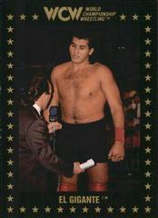El Gigante Wrestling Cards 1991 Championship Marketing WCW Prices