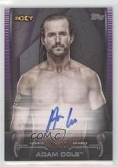 Adam Cole [Purple] #A-AC Wrestling Cards 2021 Topps WWE Undisputed Superstar Roster Autographs Prices