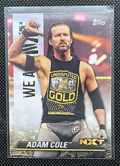 Adam Cole Wrestling Cards 2021 Topps WWE We Are NXT Prices