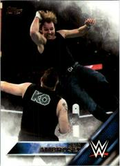 Dean Ambrose Wrestling Cards 2016 Topps WWE Then Now Forever Prices