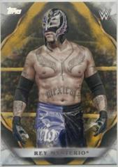 Rey Mysterio [Orange] Wrestling Cards 2019 Topps WWE Undisputed Prices