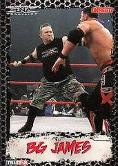 BG James #28 Wrestling Cards 2008 TriStar TNA Impact Prices