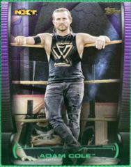 Adam Cole [Purple] #49 Wrestling Cards 2021 Topps WWE Undisputed Prices