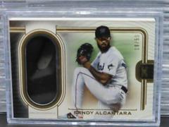 Sandy Alcantara Baseball Cards 2023 Topps Definitive Helmet Collection Prices