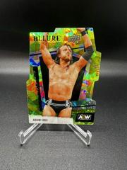 Adam Cole [Green Rainbow] Wrestling Cards 2022 Upper Deck Allure AEW Prices