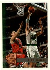 Dino Radja [Minted in Springfield] Basketball Cards 1997 Topps Prices