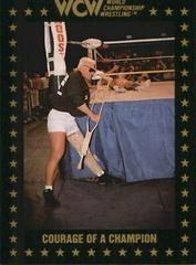 Courage of a Champion Wrestling Cards 1991 Championship Marketing WCW Prices