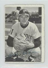 Bill Freehan Baseball Cards 1969 Topps Deckle Edge Prices