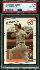 Cal Ripken Jr. #570 Baseball Cards 1988 Fleer Glossy Prices
