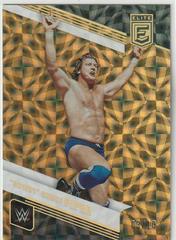 Rowdy Roddy Piper [Gold] #102 Wrestling Cards 2023 Donruss Elite WWE Prices