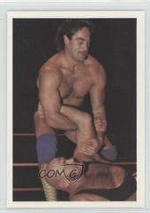 Mike Rotunda vs. Ivan Koloff #8 Wrestling Cards 1988 Wonderama NWA Prices