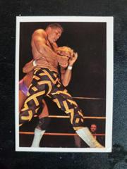 Sean Royal #300 Wrestling Cards 1988 Wonderama NWA Prices
