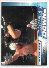 Billy Gunn Wrestling Cards 2002 Fleer WWE Raw vs Smackdown Prices