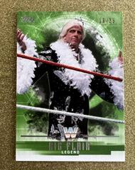 Ric Flair [Green] Wrestling Cards 2017 Topps WWE Undisputed Prices