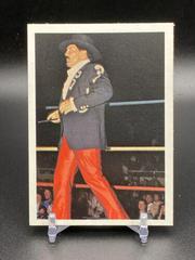 Paul Jones #40 Wrestling Cards 1988 Wonderama NWA Prices