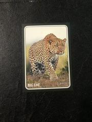 Big Cat #75Z-20 Baseball Cards 2024 Topps Heritage Zoo’s Who Stick-On Prices