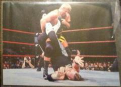 Owen Hart #18 Wrestling Cards 1998 WWF Superstarz Prices