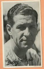 'Bucky' Harris Baseball Cards 1936 Goudey Premiums Prices