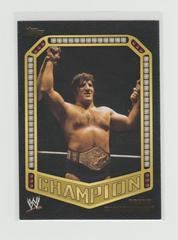 Bruno Sammartino Wrestling Cards 2014 Topps WWE Champions Prices