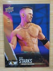 Ricky Starks [High Gloss] #26 Wrestling Cards 2021 Upper Deck AEW Prices