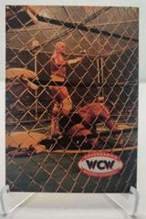 Dustin, Arn #71 Wrestling Cards 1995 Cardz WCW Main Event Prices